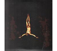 Profanatica - The Enemy Of Virtue (2lp)