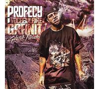 Profecy - Vocabulaire Granit