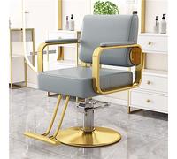 Professal Hydraulique Barber Cha360° Rotat Accoudoirs en acier TabSling Chafor HaSa & Beau Professals HeavyDu Equint