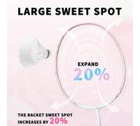 Professional Badminton Racket,Carbon Fiber Badminton Racket Set With Grip&bag,Pro Badminton Racket Racquet Light Weight With High Tension For Training Games Outdoor,Ds Series