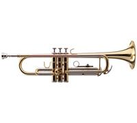 Professional Bb Trompette Cloche Laiton Or Nickel Argent Laqué Étui Embouchure