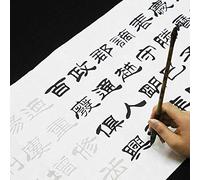 Professional Calligraphy Brush Pen Set -Chinese calligraphy set,writing practice,Chinese Calligraphy Copybooks,Chinese Brush Calligraphy Practice Copybook Rice Paper Adults Beginner Liu Bingsen Script