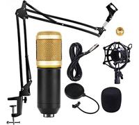 Professional Condenser Microphone Studio Recording for Computer with Support Arm Suspension Boom Scissor Adjustable Kits