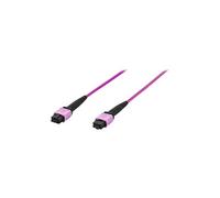 Professional - Cordon de raccordement - MPO multimode (F) pour MPO multimode (F) - 10 m - fibre optique - simplex - 50 / 125 microns - OM4 - sans