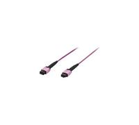 Professional - Cordon de raccordement - MPO multimode (F) pour MPO multimode (F) - 3 m - fibre optique - simplex - 50 / 125 microns - OM4 - sans
