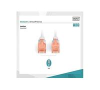 Professional - Cordon de raccordement - RJ-45 (M) pour RJ-45 (M) - 10 m - UTP - CAT 6 - démarré, sans crochet - gris