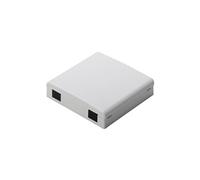 Professional DN-931087 - Prise - montable sur mur - gris, RAL 7035 - 2 ports