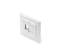 Professional DN-93832 - Plaque - 2 ports