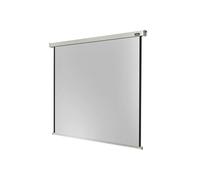 Professional electric - Ecran de projection - montable au plafond, montable sur mur - motorisé - 230 V - 109" (276 cm) - 1:1