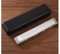 Professional Harmonica Harmonica Vibrato 28 Trous En Do Avec Anches Bronze Phosphoreux Kit Blues Pour Débutant Étui Inclus(Silver)