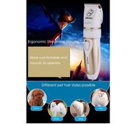Professional Rechargeable Pet Electric Hair Clipper Cutter avec grooming Trimming Kit