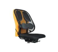 Fellowes Support dorsal en maille Professional Series 8029901 – ergonomique, réglable, noir
