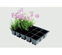 Professionnel 15 Cellules Lot de 5 inserts pour plantes Jardinage