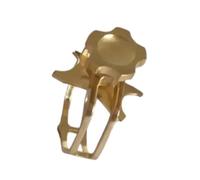 Professionnelle Accessoires Pour Clarinette Réplique De Clip Métallique En Bakélite Pour Saxophone Alto Pince Cuivre À Pas Élevé Anneau Spécial Clarinette