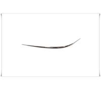 Prasco Bandeau pare-choc ME0391240 - Profil chromé avant gauche pour Mercedes-Benz E-Class