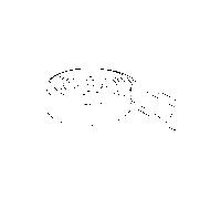 Profilé de douche TECE 695010, pièce de rechange pour bande d'isolation acoustique