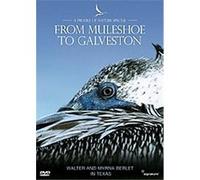 Profiles Of Nature - From Muleshoe To Galveston G