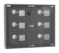 Profirst LockMaster Distributeur de clés Serrure électronique Ouverture d'urgence Acier Anthracite Rondelle Plastique 6 Compartiments y Compris matériel de Fixation