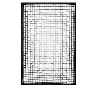 Profoto 201820 Softgrid 4x6'