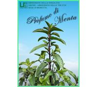 Profumo di menta. Storia della coltivazione della menta a Moretta
