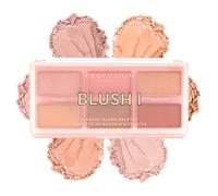 Profusion Cosmetics – Palette de maquillage mini artistique – Blush I