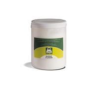 PROGAL COLORS COLOM Laque fixatrice - Apprêt acrylique pour fixer et sceller les surfaces poreuses et pour une meilleure adhérence des peintures - Transparent (4 l)