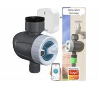 Programmateur d'arrosage connecté BWC-520.bt avec passerelle réseau Royal Gardineer