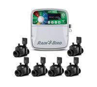 Programmateur d'arrosage - Rain Bird - ESP-TM2 - 6 zones - Intérieur - 3 programmes