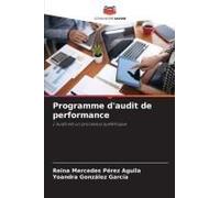 Programme D'audit De Performance