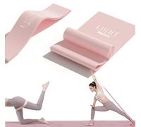 PROIRON Élastique Bande Set 2 Bandes de Résistance de Musculation de Bande Élastique Différente Équipement en Latex Naturel pour Musculation, Pilates, Yoga, Crossfit pour Hommes et Femmes, 2M