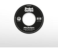Project Gemini - After The Dawn (Large Plants Remix) / Darkness Rising [7" Vinyl] [Import]