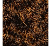 Project Pablo-Hope You`Re Well VINYL LP NEUF