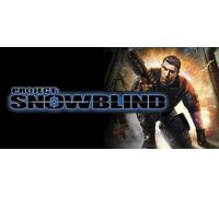 Project: Snowblind (PC)