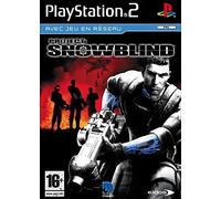Project - Snowblind Ps2