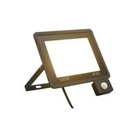 Projecteur à LED avec capteur 100 W Blanc chaud