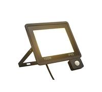 Projecteur à LED avec capteur 100 W Blanc chaud