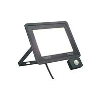 vidaXL Projecteur à LED avec capteur 100 W Blanc froid Blanc G