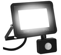 Projecteur à LED avec Capteur 30 W Blanc Froid Eclairage de Sécurité vidaXL