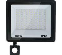 Projecteur à LED, étanche IP66, tension AC220V, détecteur de mouvement réglable, 100W, blanc froid