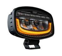 Projecteur auxiliaire multifonctionnel LED Glare Oval-Pro 10/30V