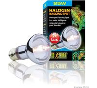 Projecteur halogène à semelle Exo Terra 25 W