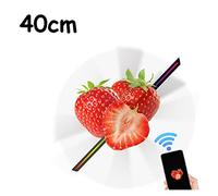 Projecteur holographique, 15.74 "3D Affichage holographique Ventilateur d'air projecteur vidéo 3D Affichage publicité Logo lumière publicité Affichage holographique HD(T40 General)