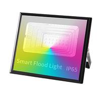 Projecteur Intelligent RVB 30W Réflecteur LED Tuya Smart Home Wifi Smart Life Projecteur Extérieur AC85-265V Éclairage Chaud Et Froid Étanche
