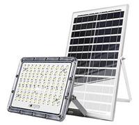 Projecteur LED 13W Extérieur 9000K avec Panneau Solaire 15W Avizar Gris Gris