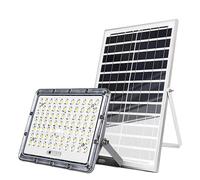 Projecteur LED 13W Extérieur 9000K avec Panneau Solaire 15W Gris