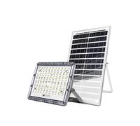 Avizar Projecteur LED 13W Extérieur 9000K avec Panneau Solaire 15W Gris