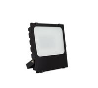 Projecteur LED 50W 145lm/W IP65 HE Frost PRO Dimmable