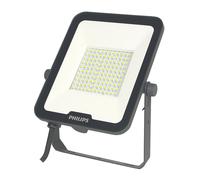Projecteur LED d'extérieur Philips Ledinaire gris 50W 6000lm