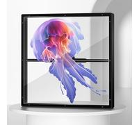 Projecteur LED holographique 3D, 20 W, avec Ventilateur, Animation vidéo, équipé de 244 LED Haute Brillance, Compatible avec Plusieurs formats multimédias, for enseignes commerciales et Bars.