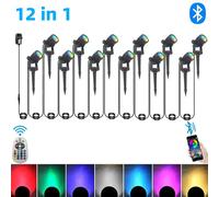 Projecteur paysager intelligent extérieur APP et télécommande 16 millions de couleurs IP65 étanche pour chemin cour jardins arrière-cour US plug